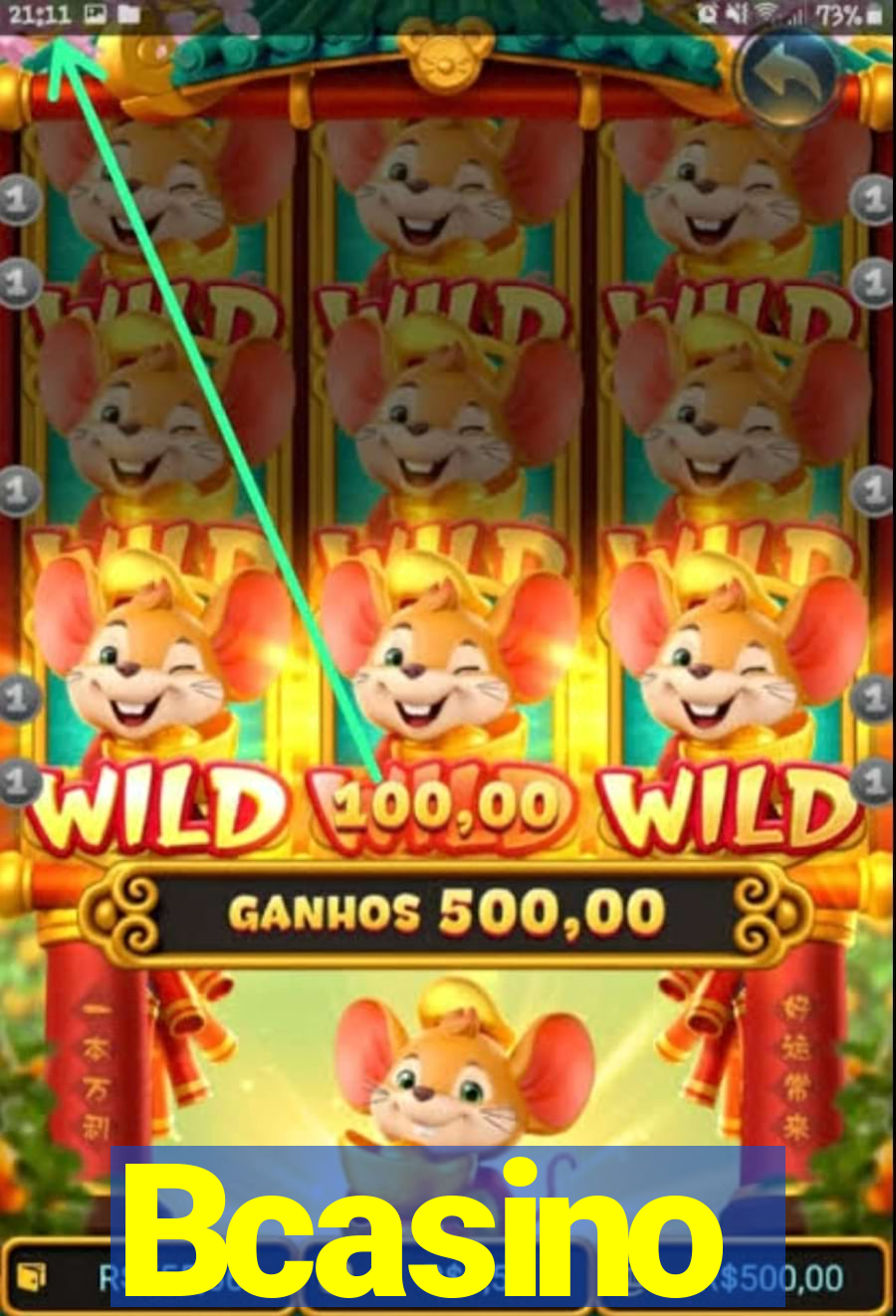 Bcasino