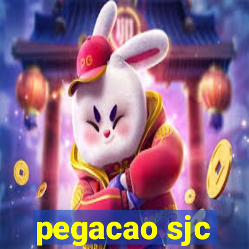 pegacao sjc