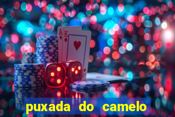 puxada do camelo no jogo do bicho