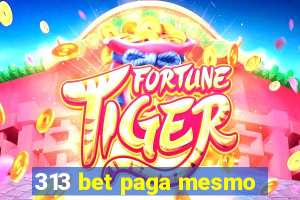 313 bet paga mesmo