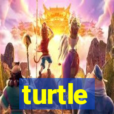 turtle-ty.com